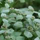 Detail-Infos